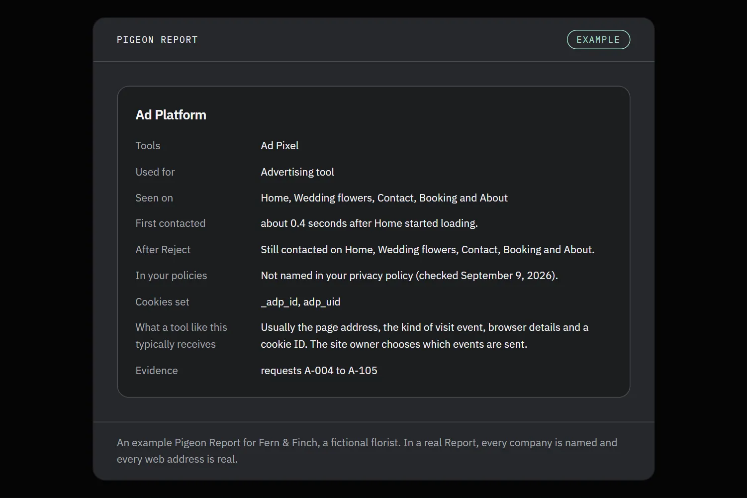 An example company record from the fictional Fern & Finch Report, showing an advertising tool's purpose, pages, cookies and policy match.